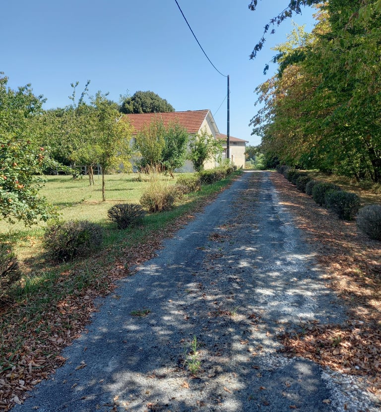 France-South-West-Gironde-Pompignac-Property for sale-garden5