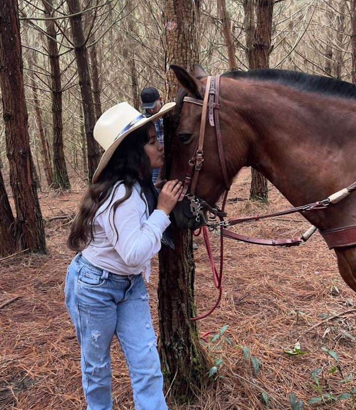 Horseback riding for children and adults
