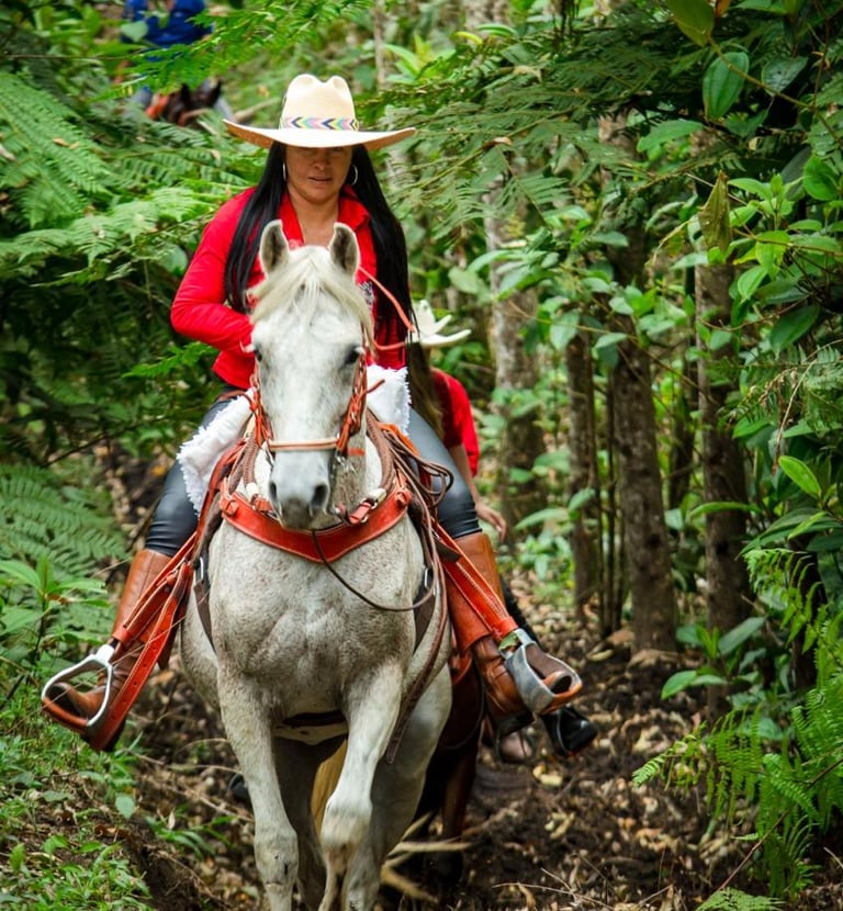 a woman in a red jacket and hat riding a horse