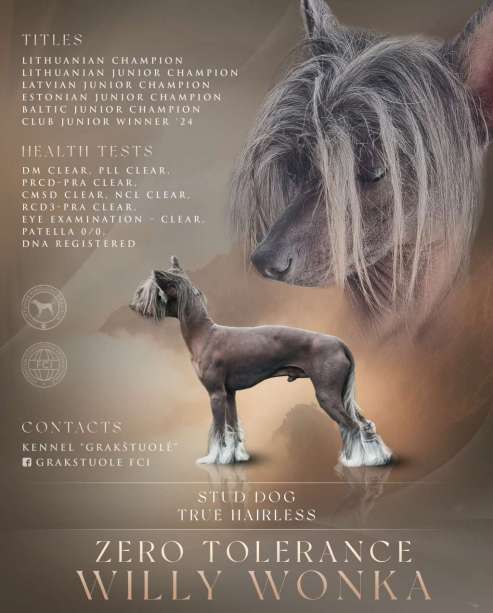 šuo su šunimi plakate