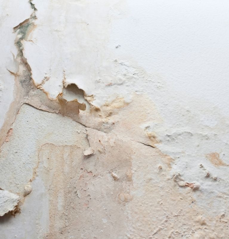 water damaged wall repair in swinton and salford