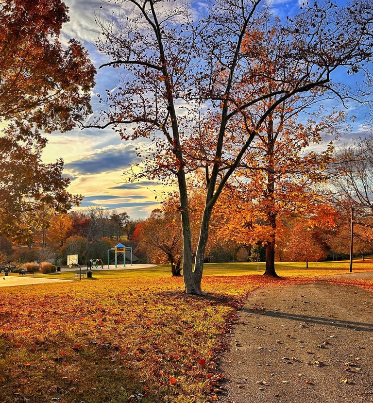 autumn walking trail riverside park lynchburg va