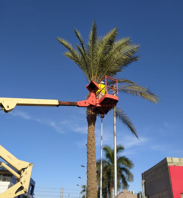 newgreentouch Landscaping maintenance
