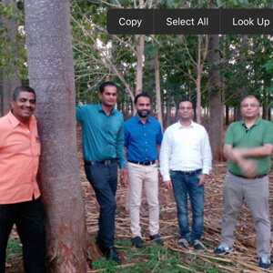 a group of men standing in front of a tree