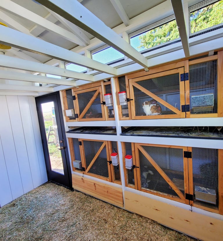 Inside custom rabbit barn.  Four enclosures with hidden spots for dropping collection trays. Ranch Colorado Springs.