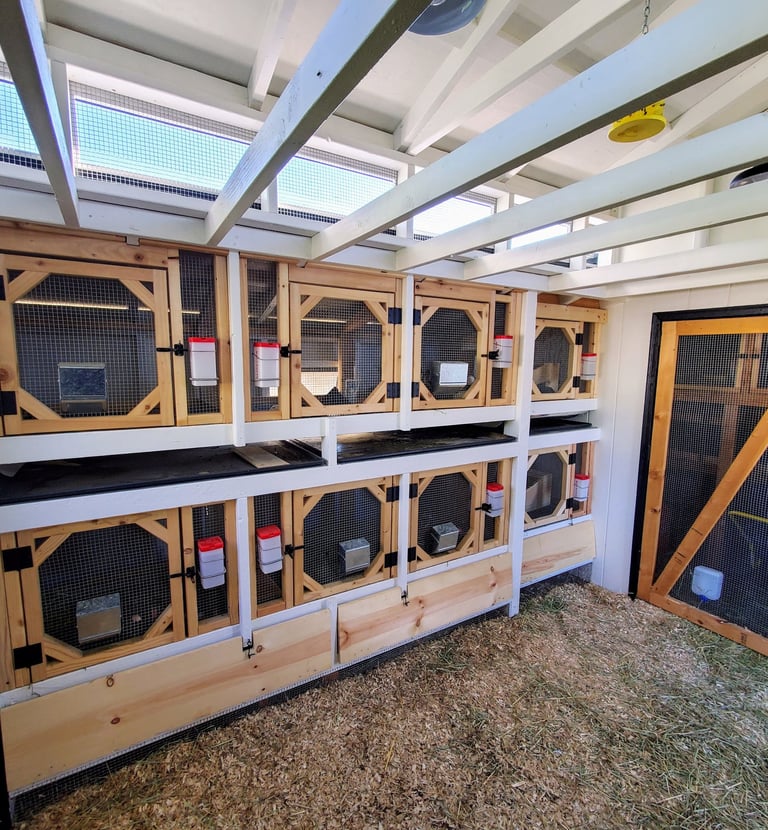 Inside custom rabbit barn.  8 enclosures with hidden spots for dropping collection trays. Ranch Colorado Springs.