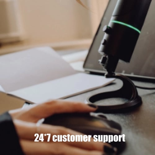ProLingo Editors translation Services