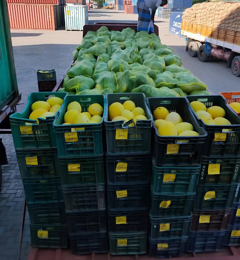 a table with a lot of fruit and a man in a hat