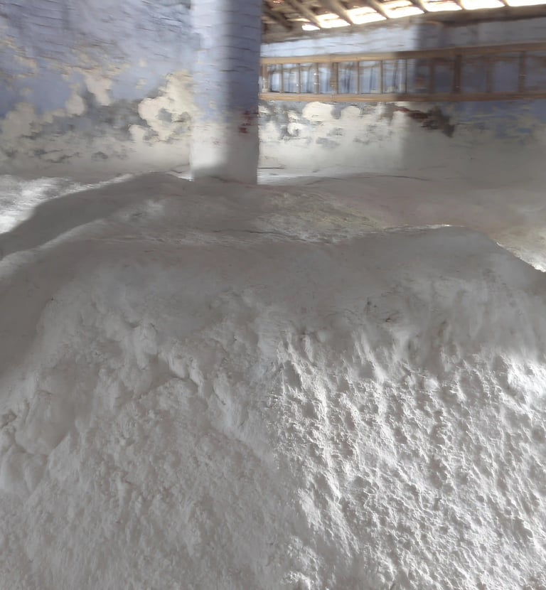 a pile of white salt on a building rich in calcium