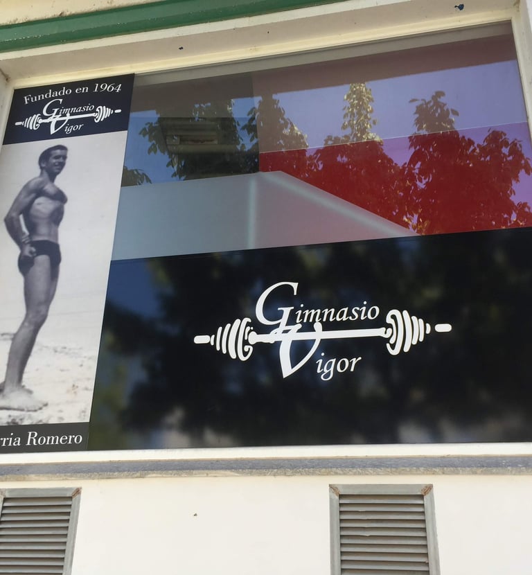 Gimnasio Vigor