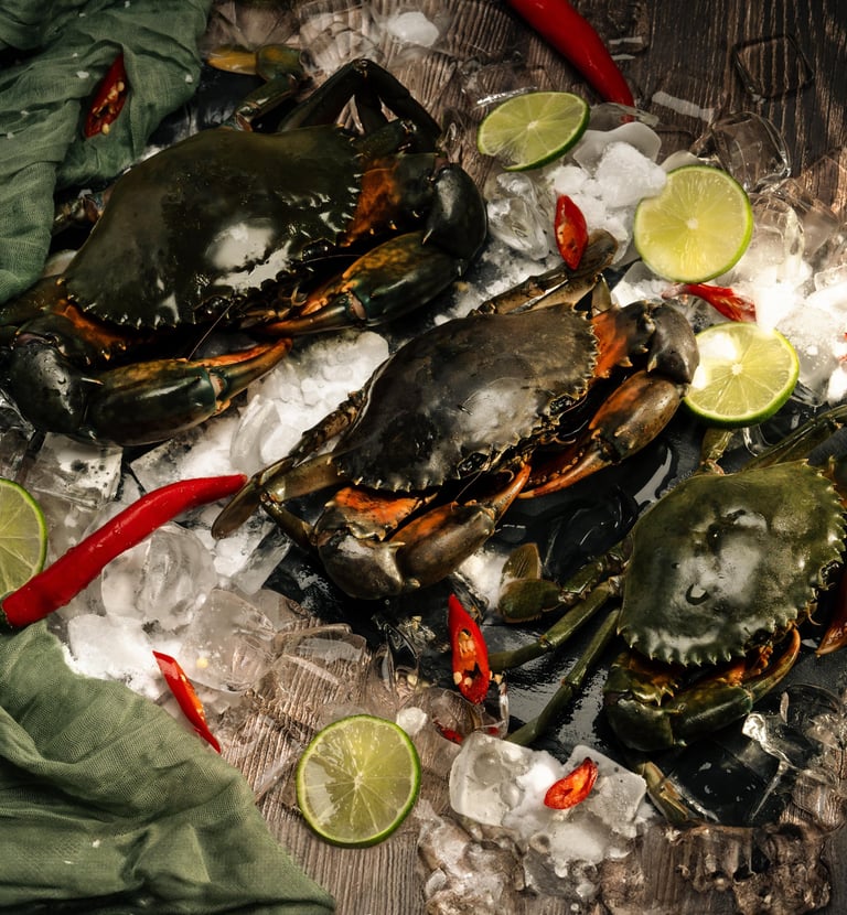 seamorny - vietnamese crab supplier