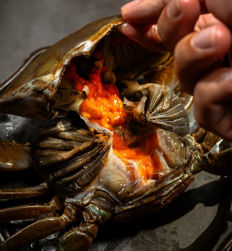 seamorny - vietnamese crab supplier