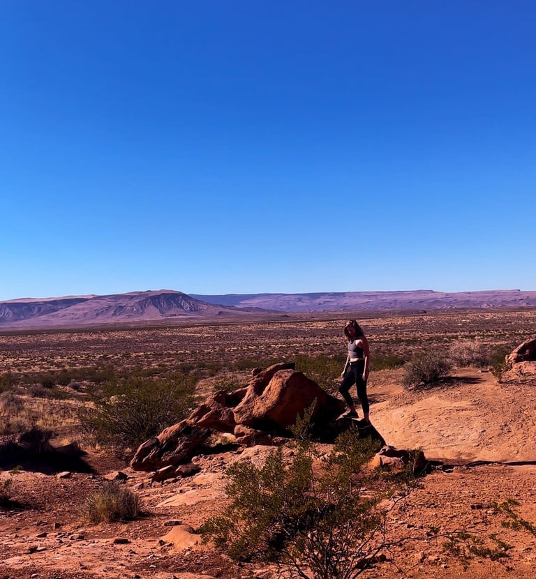Woman hiker on a red rock formation overlooking a vast desert landscape under a clear blue sky.