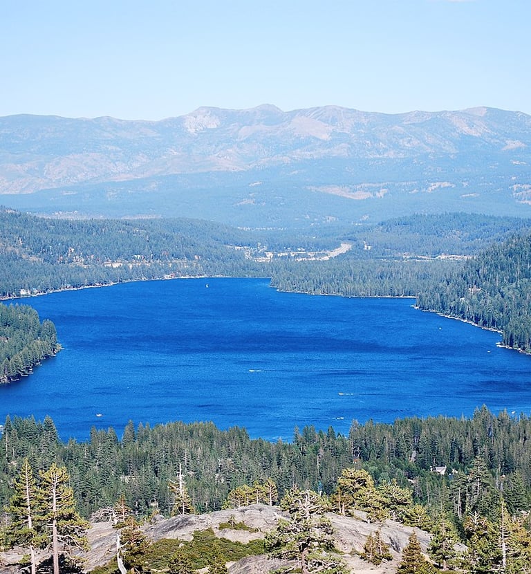25 Best Dog Friendly Beaches & Trails: North Lake Tahoe, CA