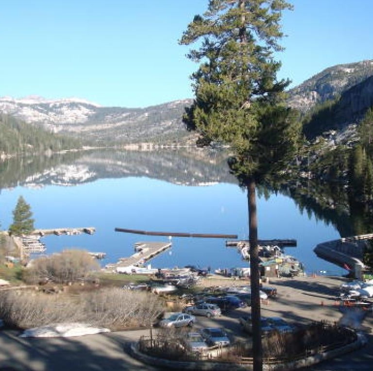 25 Best Dog Friendly Beaches & Trails: North Lake Tahoe, CA