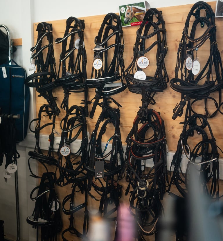 Trensen bei Equiverita - Reitsport