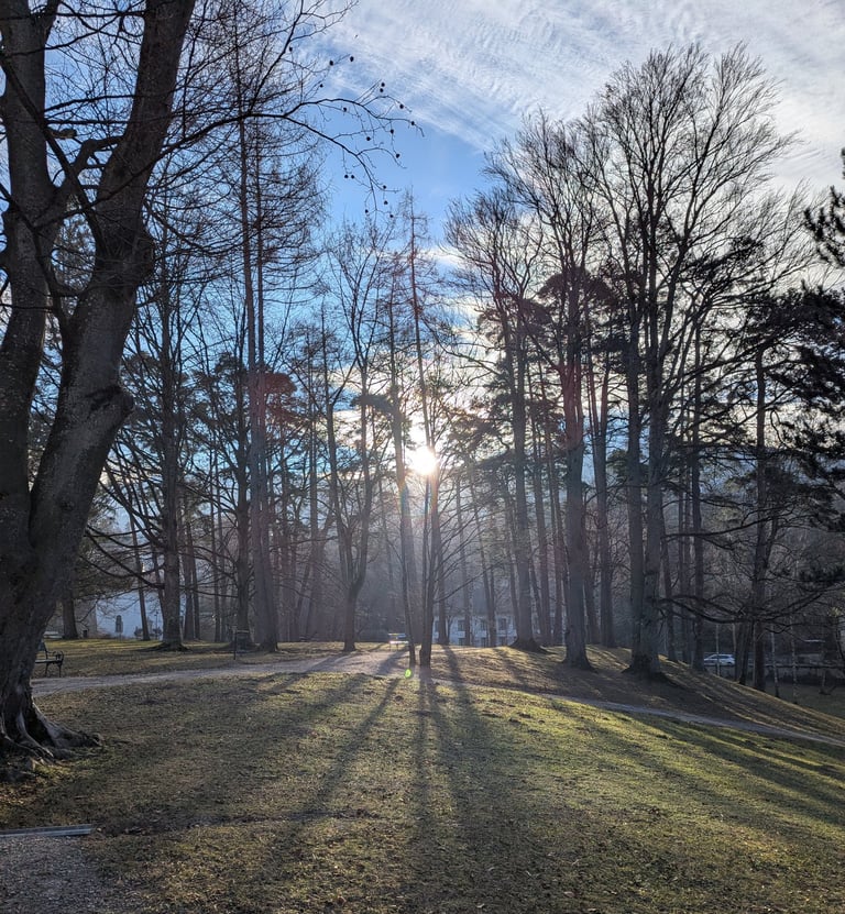 Sun filtering through the trees in the grounds of Ambras Castle, Innsbruck.
