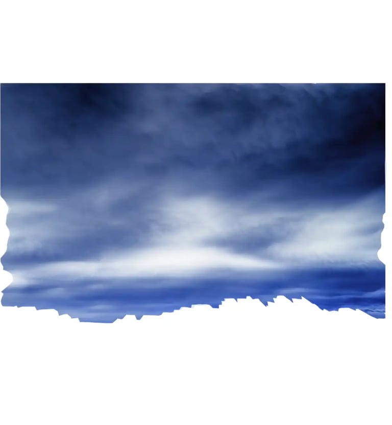 digital art, video installation,  joanna wlaszyn