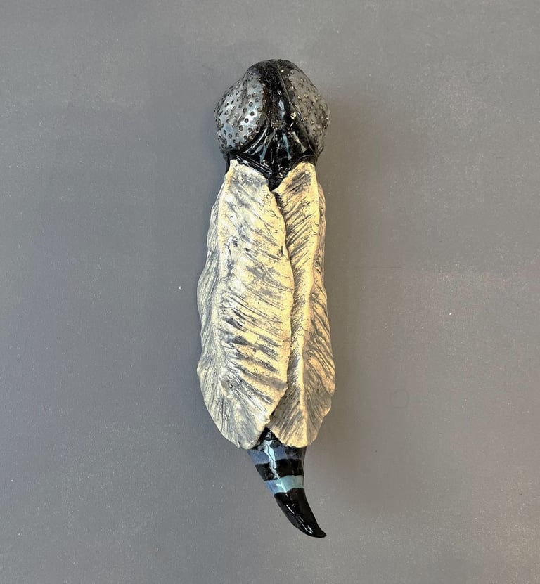 fly out of its cocoon
