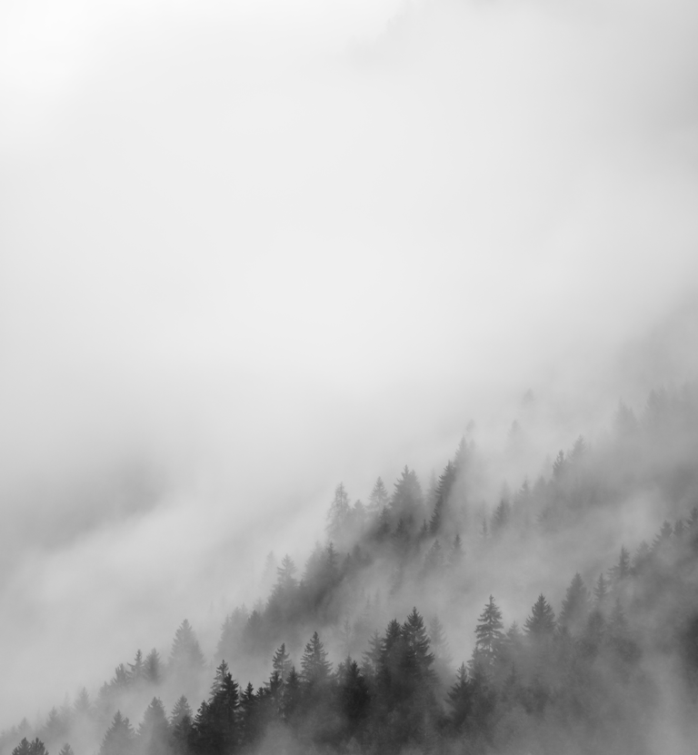 photography / james murray / triol / schlick2000 / events / social media / innsbruck / portraits