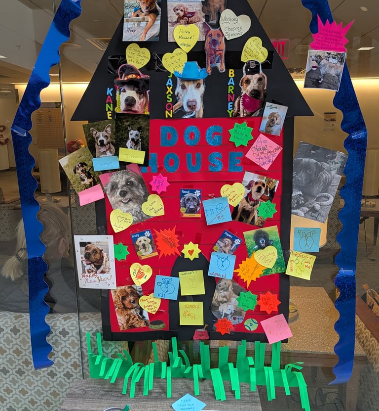 dog photo display at Duke Cancer Center