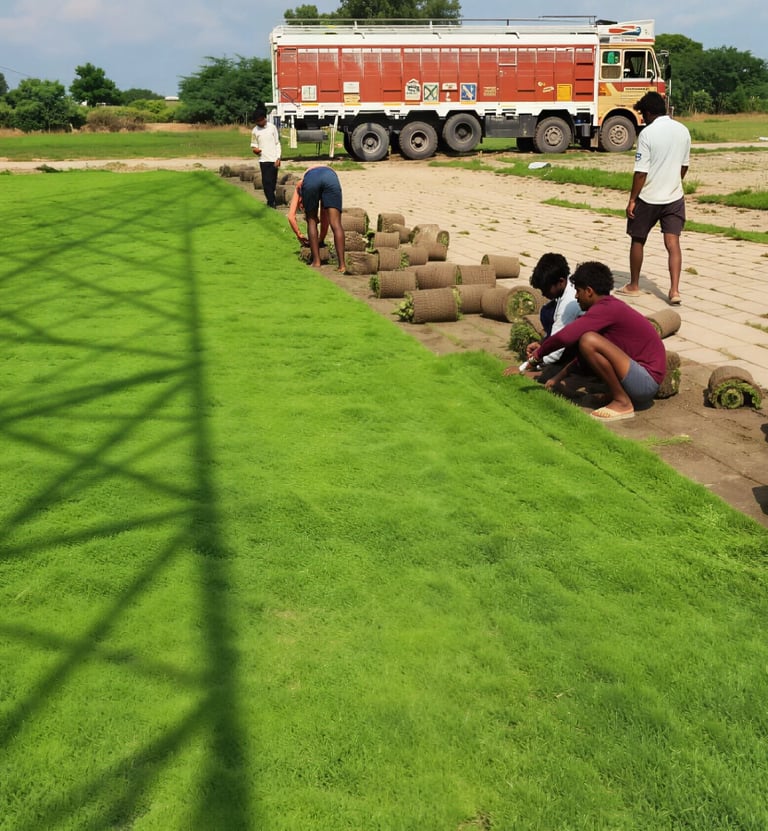 lawn grass installation Vijayawada
