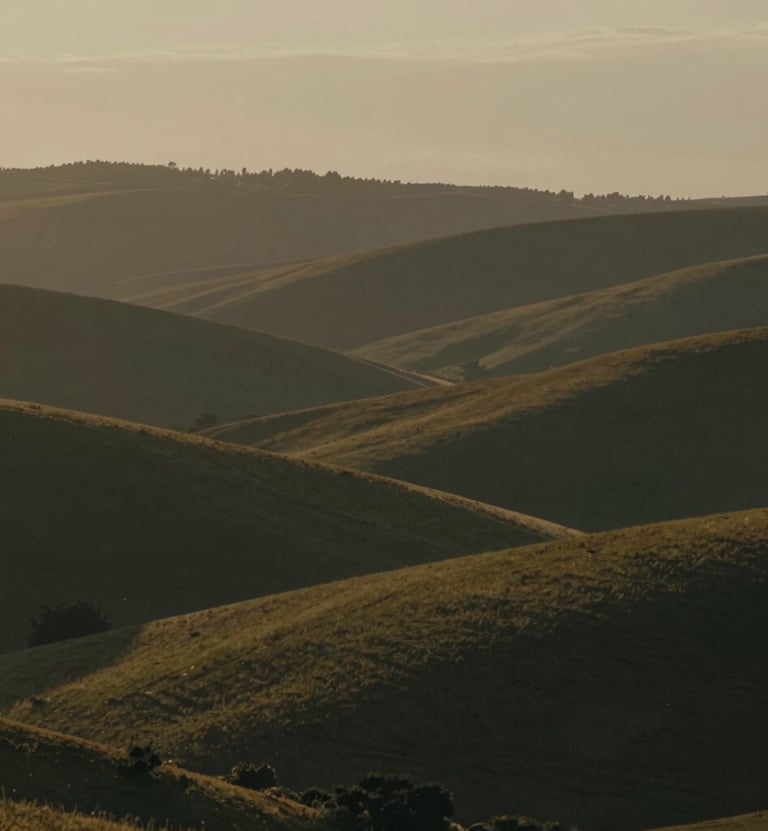 A cinematic landscape shot at dusk featuring a rolling hillside. The lighting is low and warm, casting long shadows with a palette of #6F604F and #C4B29A. The style is nostalgic and soft-focused, capturing a sense of quiet presence and timeless elegance.