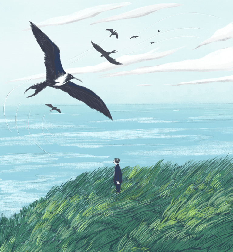 illustration of a person standing on a hill of tall grass near the sea with frigate birds flying