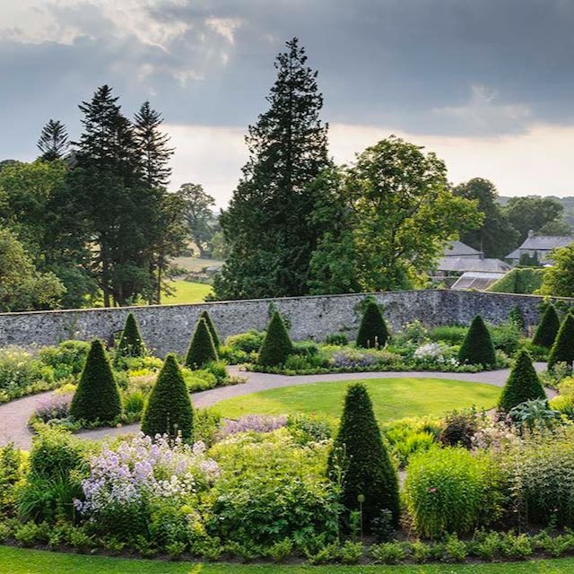 A walled garden with conical shaped yew trees