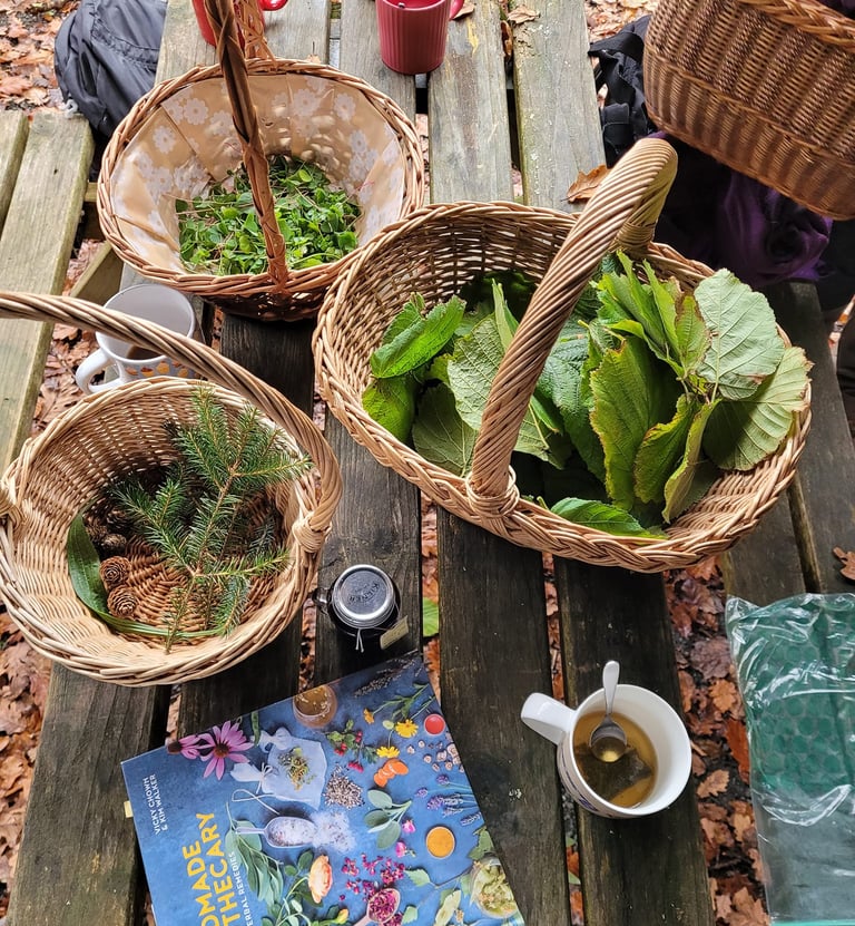 wicker baskets with foraged food