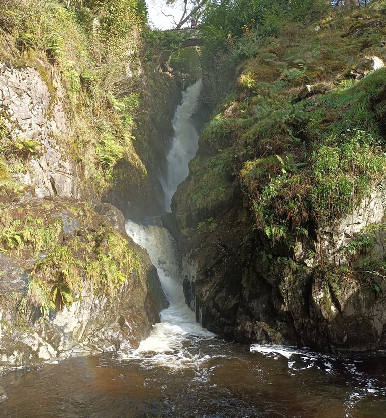 Aira Force