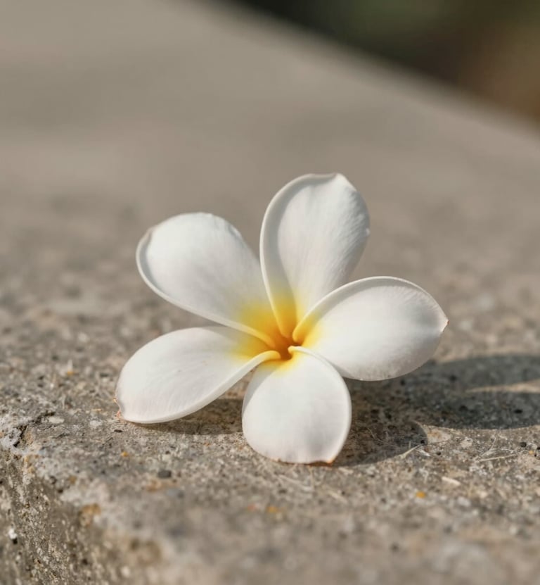 A minimalist detail shot of a delicate frangipani flower lying on weathered Balinese stone, soft morning light, shallow depth of field, evokes a sense of peace and nostalgia, warm tones of #D4C7BB and #F8F4F0.