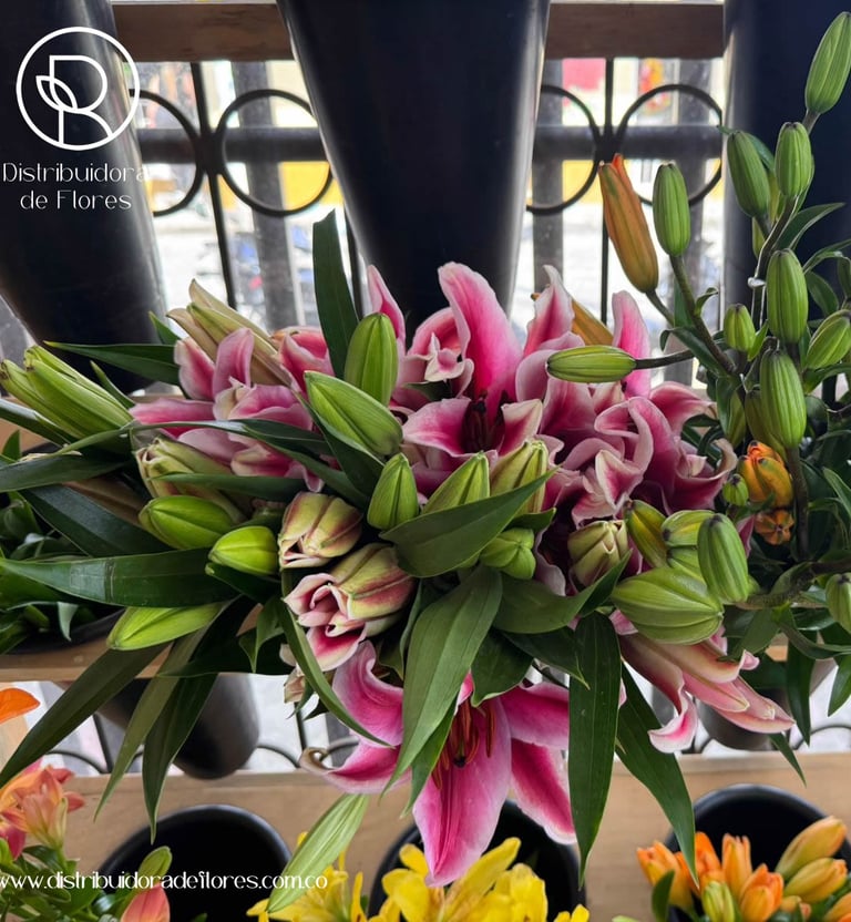 mayoristas de flores Mistrató