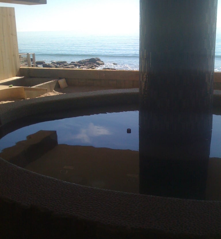 a oceanside pool with a center column supporting the home 