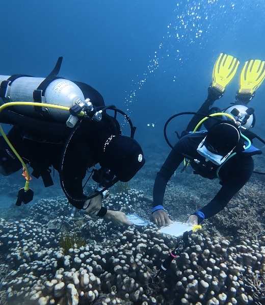 Reef Check Substrate ID