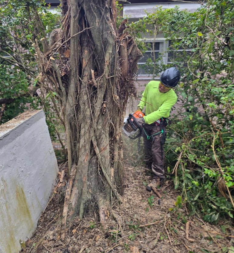 a man in a helmet is cutting through a tree