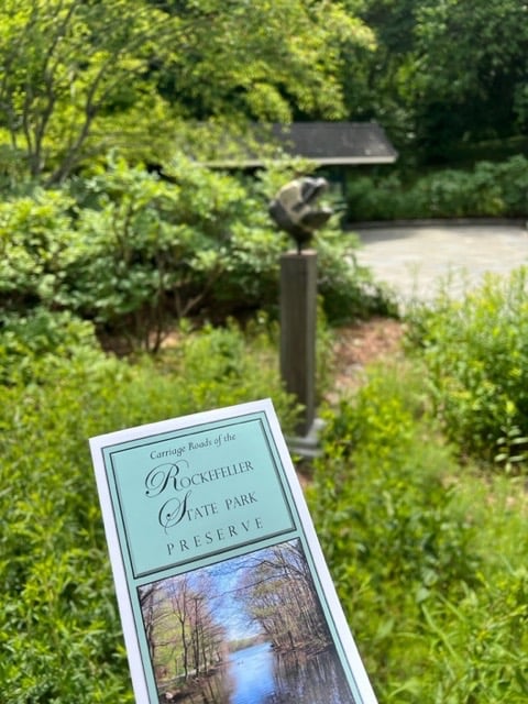 Rockefeller Entitlement Runs Wild in New York