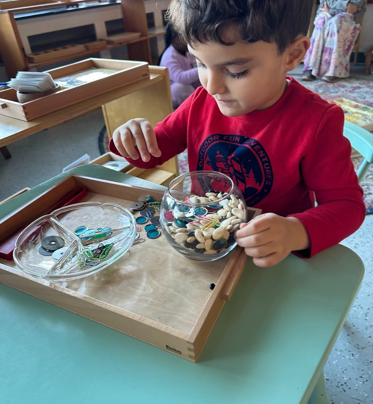 fine motor skills