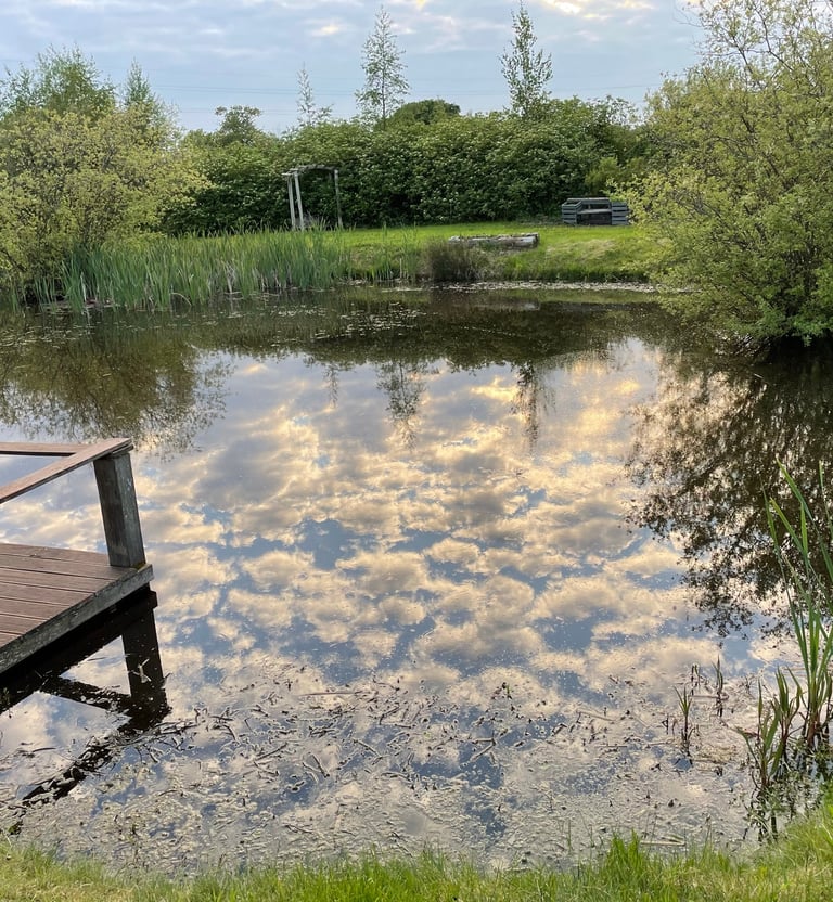 Pond  calm and quiet