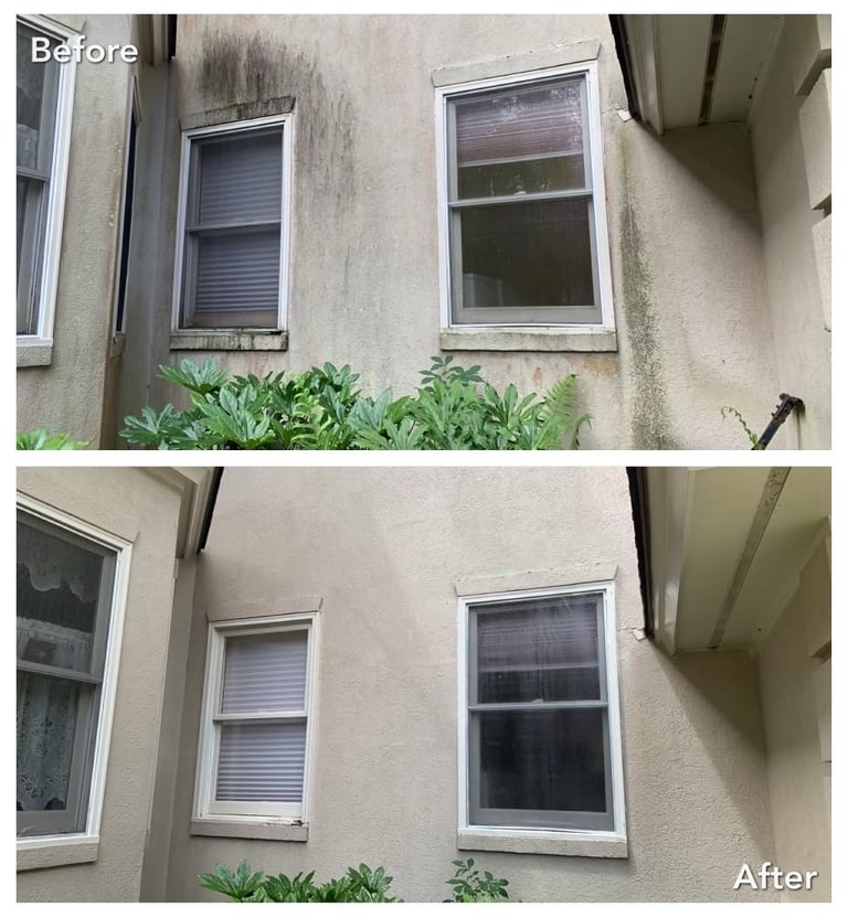 A dramatic difference made for this home after our home exterior wash in New Port Richey, FL