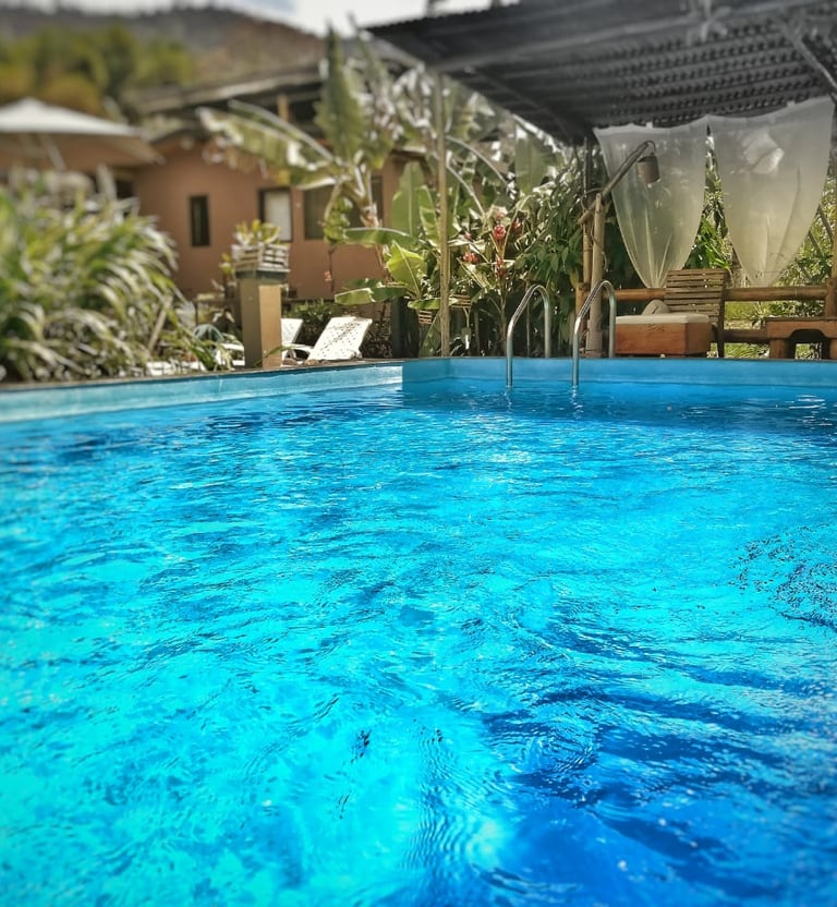 mindo-naturaleza-bicok-hospedaje