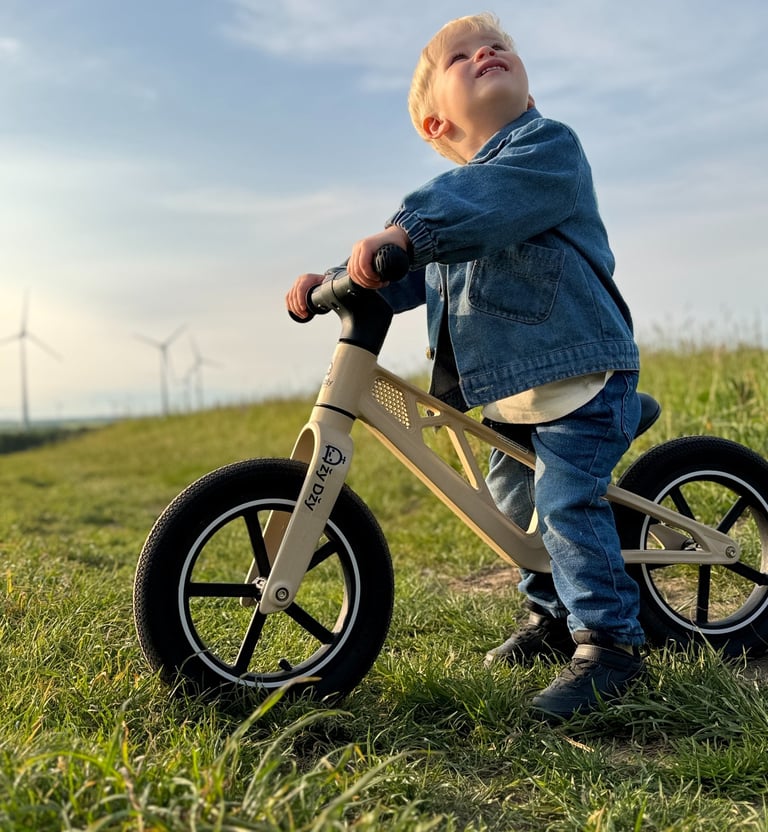 balansinis dviratukas vaikams nuo 2 metu stilingas kokybiskas lengvas