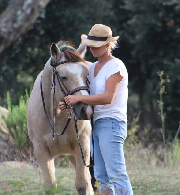 Reittrainerin von MonTanja arbeitet einfühlsam mit Pferd im Freien