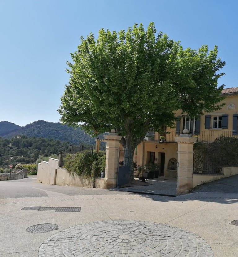 La Maison d'Yvette, ein großes Familienhaus, Ferienunterkunft in Ventoux, Provence