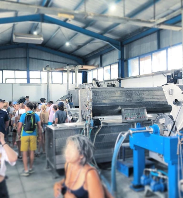 Eine Gruppe von Besuchern erkundet eine moderne Olivenölpresse in einer großräumigen Produktionshall