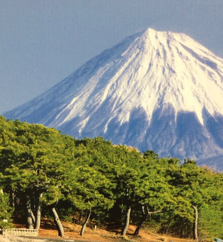 Beautiful Mount Fuji, Japan.