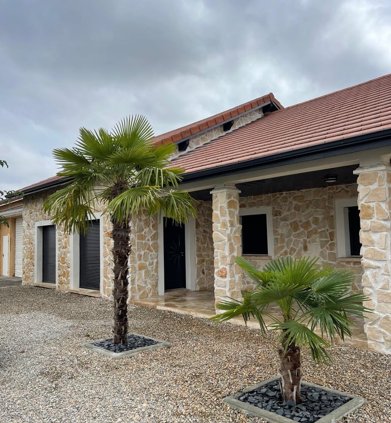a palm tree in front of a building