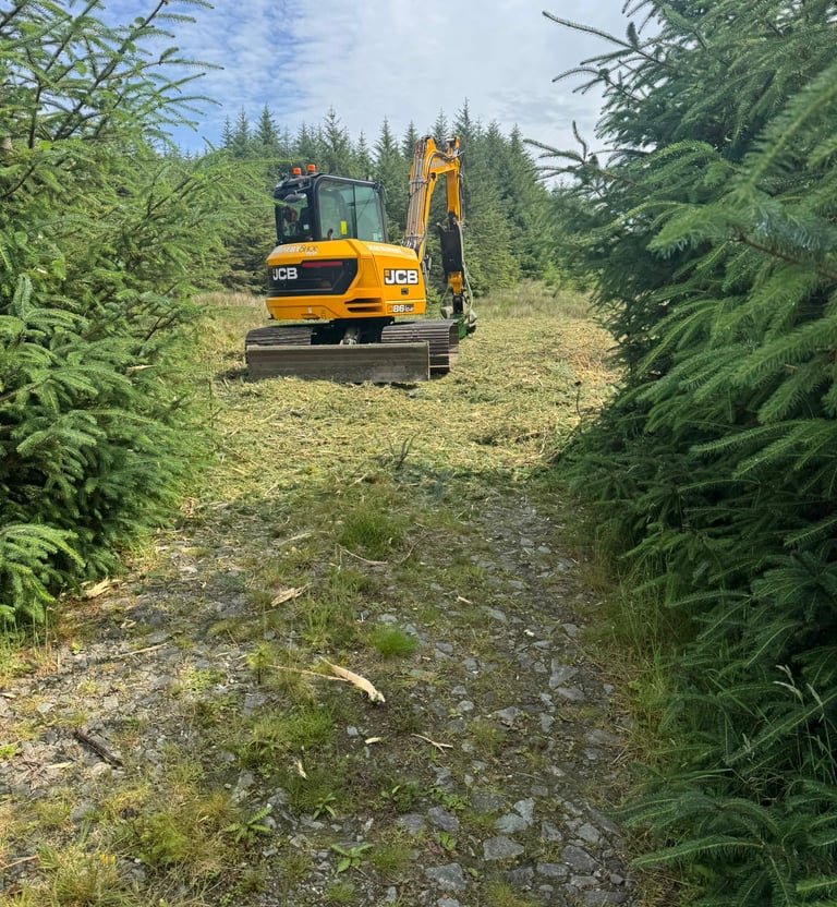 Mulching corridors, road side regen.
