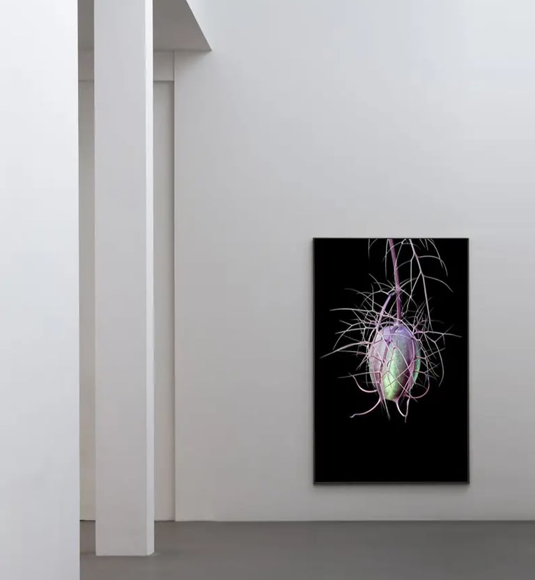 digital art, visual art, Joanna Wlaszyn