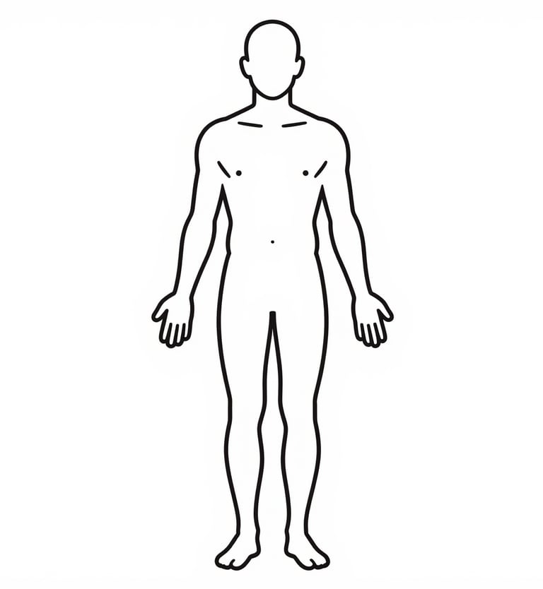 Schema corps humain